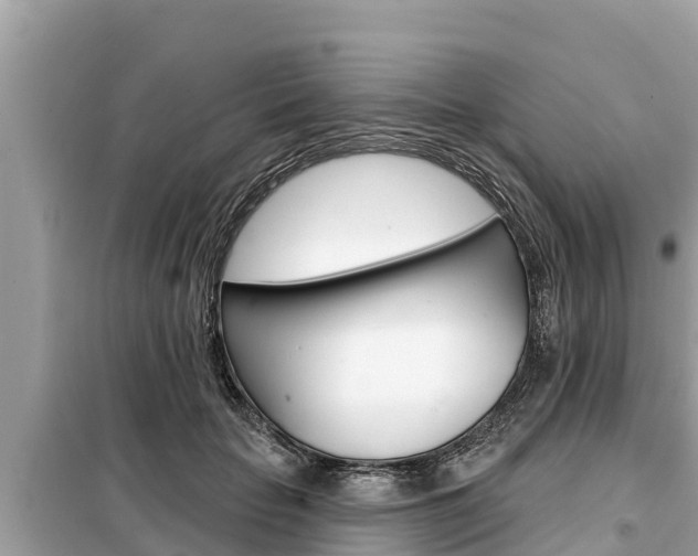 X0000099300653200805020758