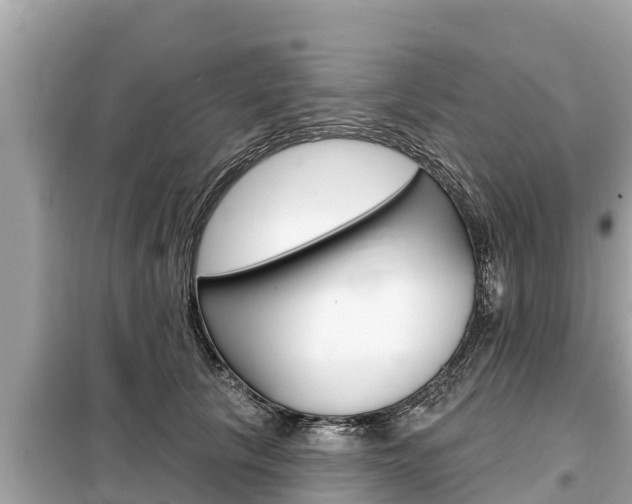 X0000099300657200805020758