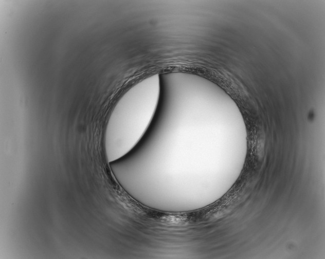 X0000099300660200805020758