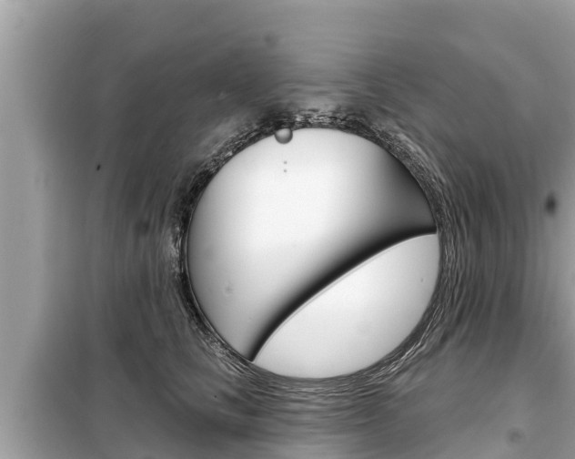 X0000099300661200805020758