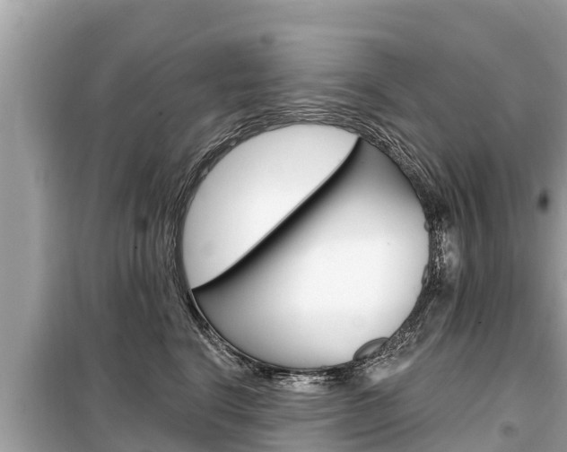X0000099300664200805020758