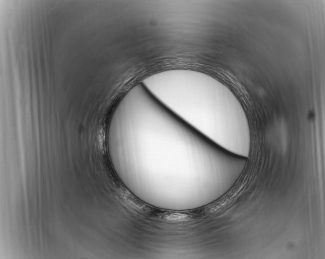 X0000099300669200805020758
