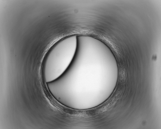 X0000099300674200805020757