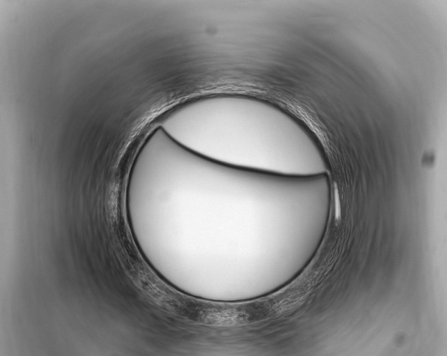X0000099300675200805020757