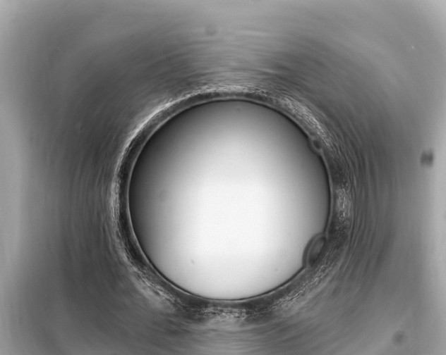 X0000099300676200805020757