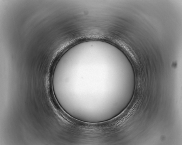 X0000099300677200805020757