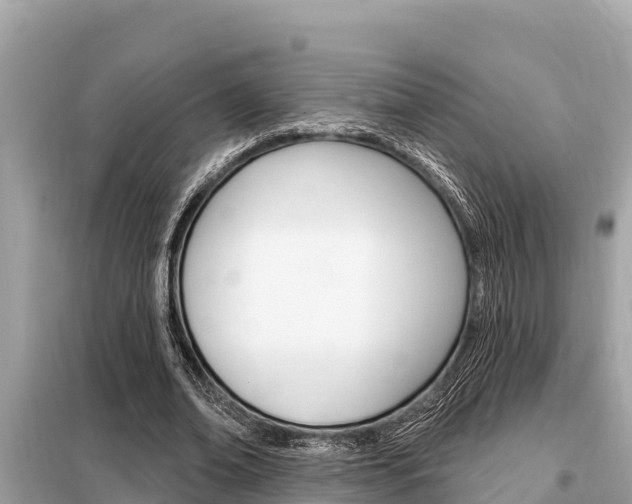 X0000099300678200805020757