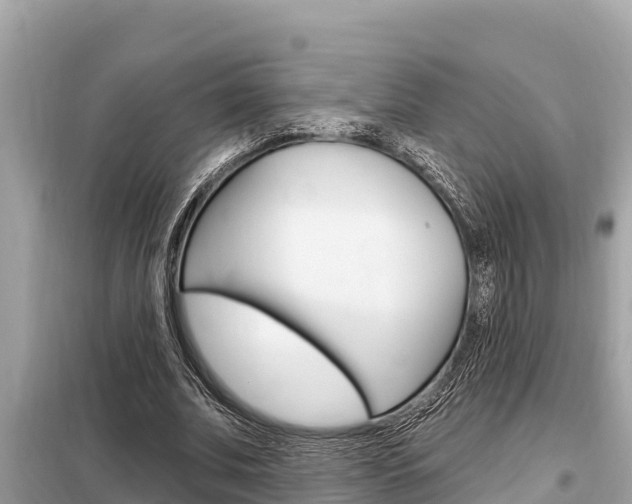 X0000099300679200805020757