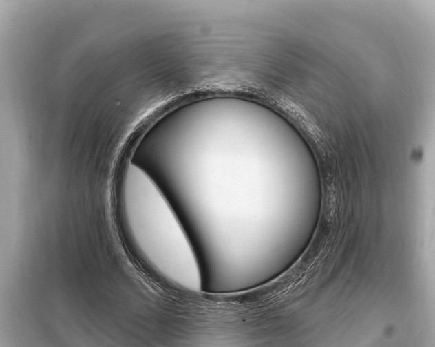 X0000099300680200805020757