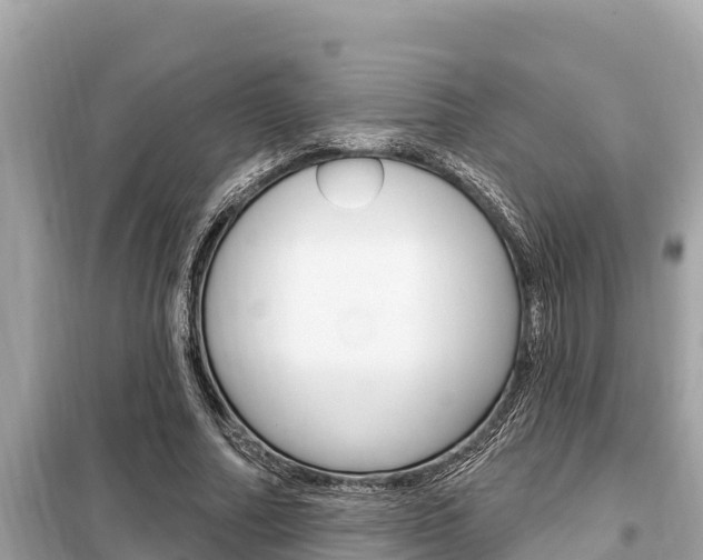 X0000099300682200805020757