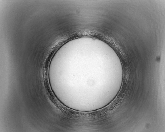 X0000099300683200805020757