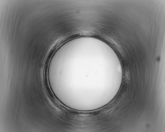 X0000099300686200805020757