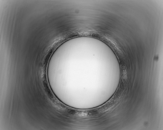 X0000099300687200805020757