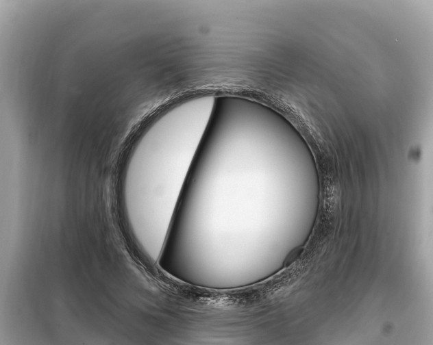 X0000099300688200805020757