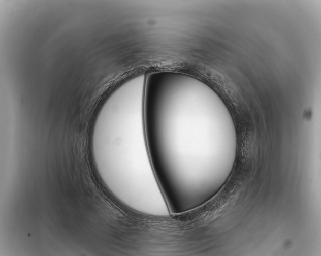 X0000099300689200805020757