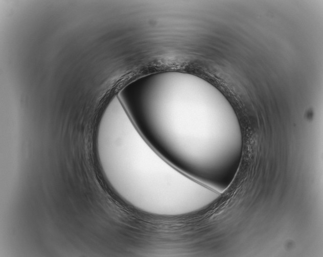 X0000099300693200805020757