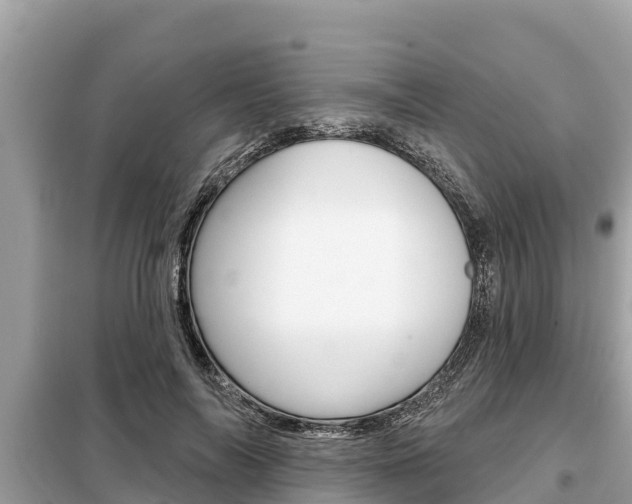 X0000099300694200805020757