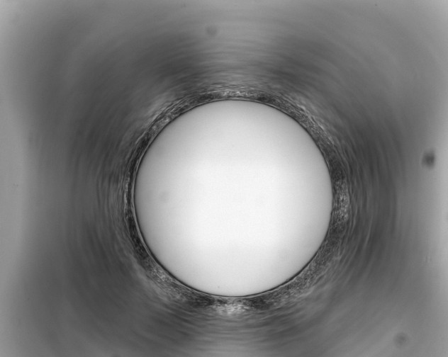 X0000099300695200805020757