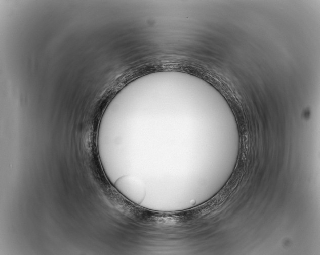 X0000099300698200805020757