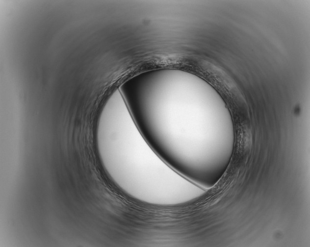 X0000099300700200805020757