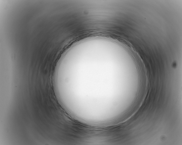 X0000099300701200805020757