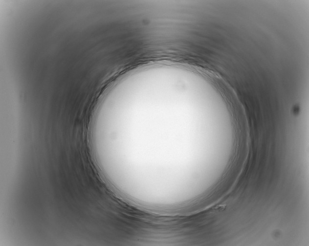 X0000099300705200805020757