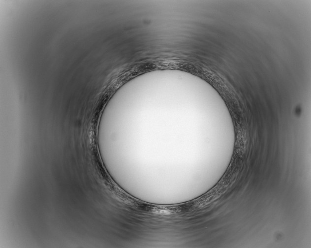 X0000099300706200805020757