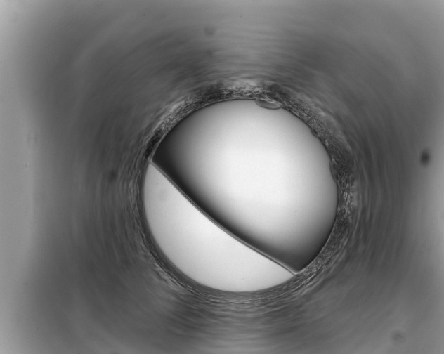 X0000099300708200805020757