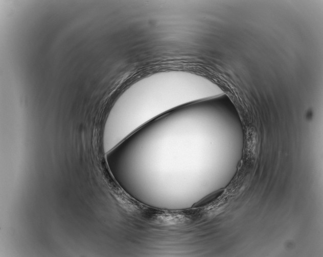 X0000099300712200805020757
