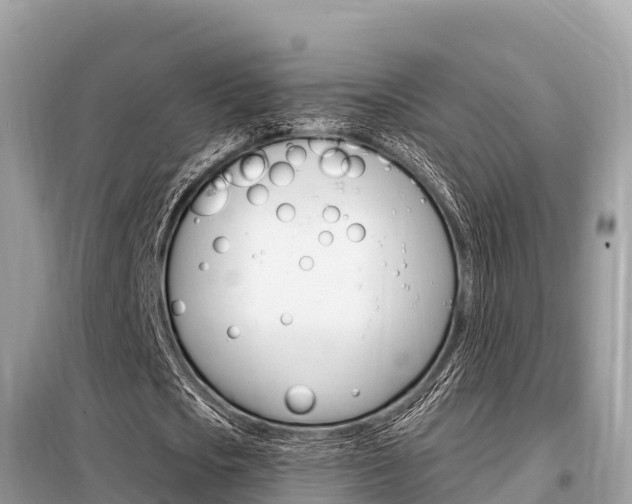 X0000099300721200805020756