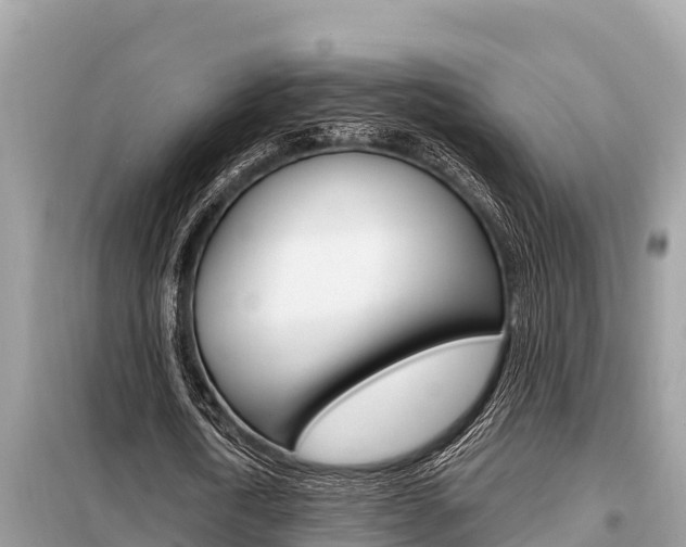 X0000099300722200805020756
