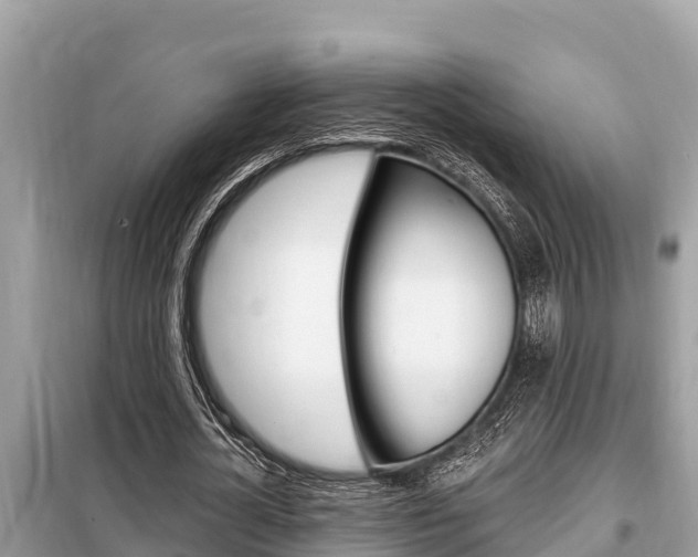 X0000099300724200805020756