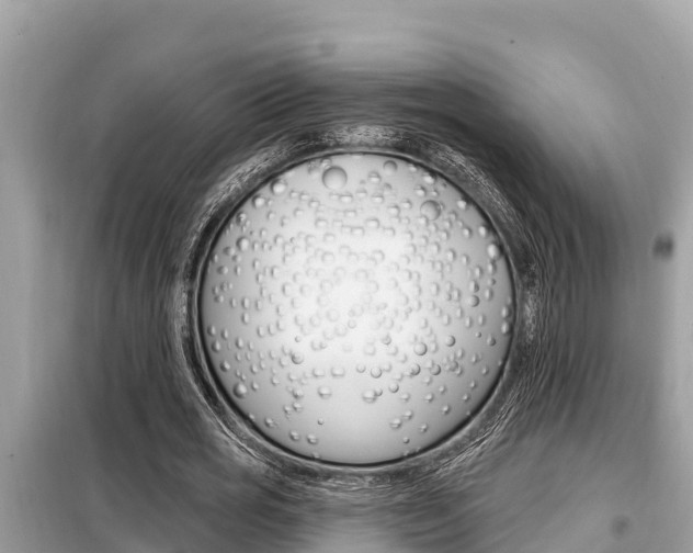 X0000099300725200805020756