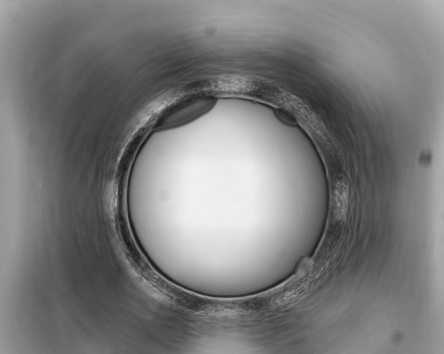 X0000099300726200805020756