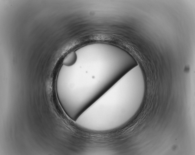 X0000099300727200805020756