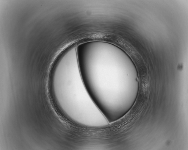 X0000099300728200805020756