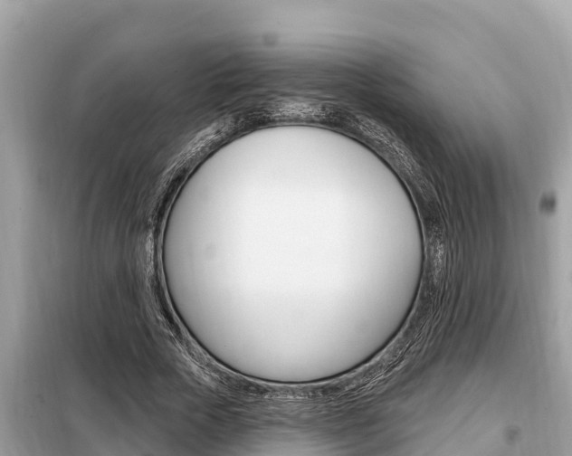 X0000099300729200805020756