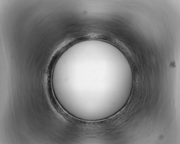 X0000099300730200805020756
