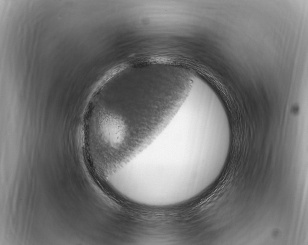 X0000099300734200805020756