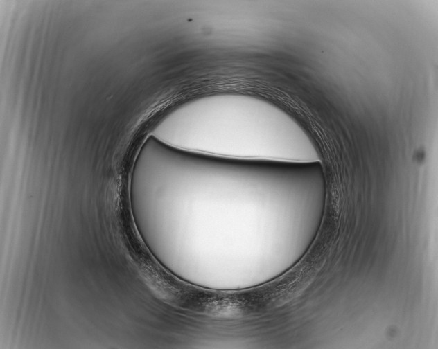 X0000099300735200805020756