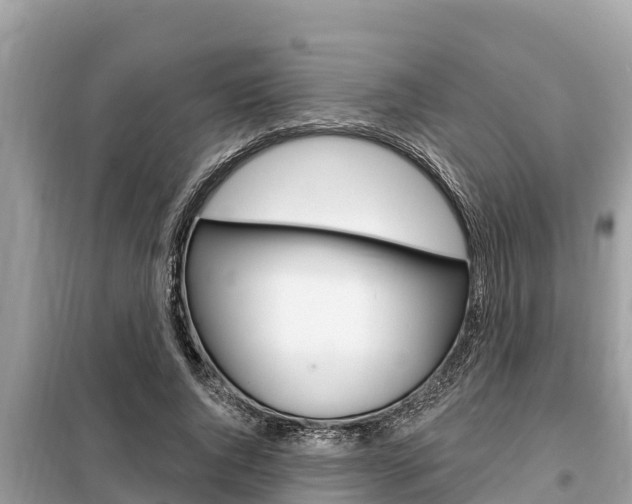 X0000099300736200805020756