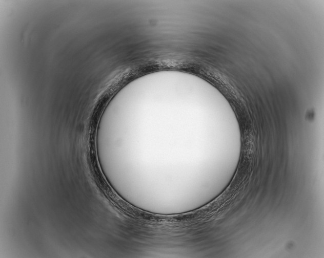X0000099300738200805020756