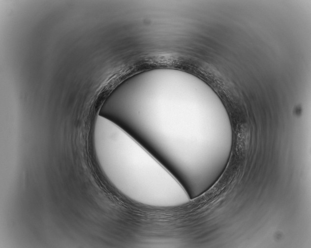 X0000099300739200805020756