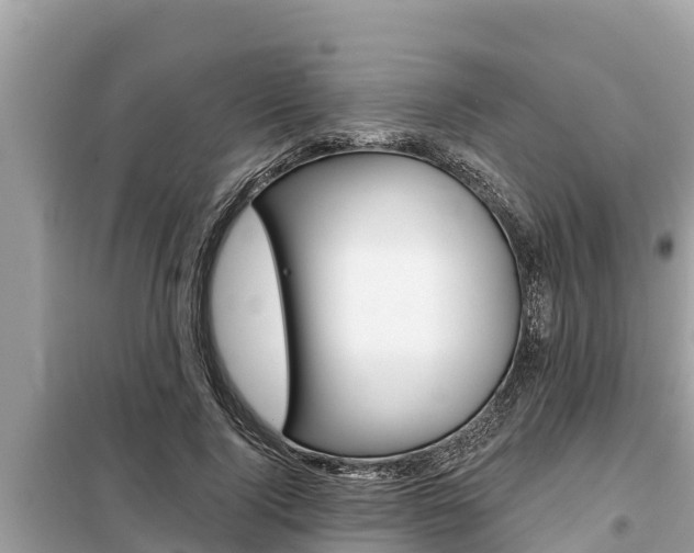 X0000099300740200805020756