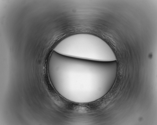 X0000099300743200805020756