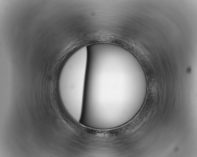 X0000099300744200805020756