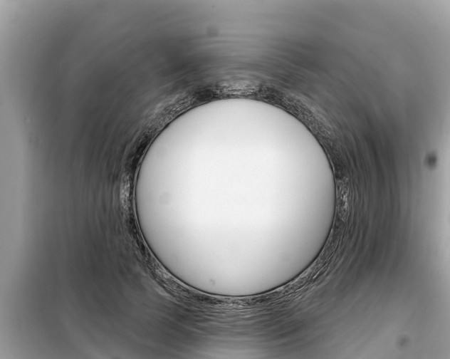 X0000099300745200805020756