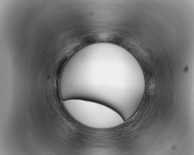 X0000099300746200805020756