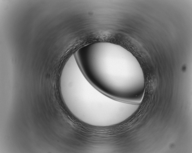 X0000099300750200805020756