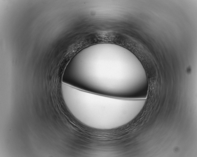 X0000099300752200805020756